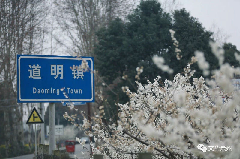 微信图片_20230306103339