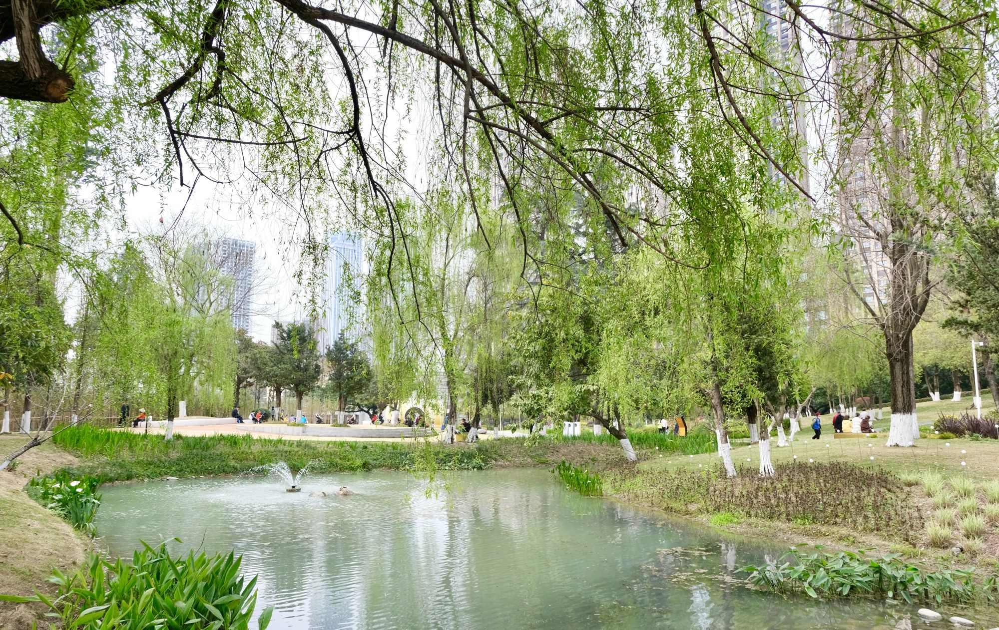 微信图片_20230315161007