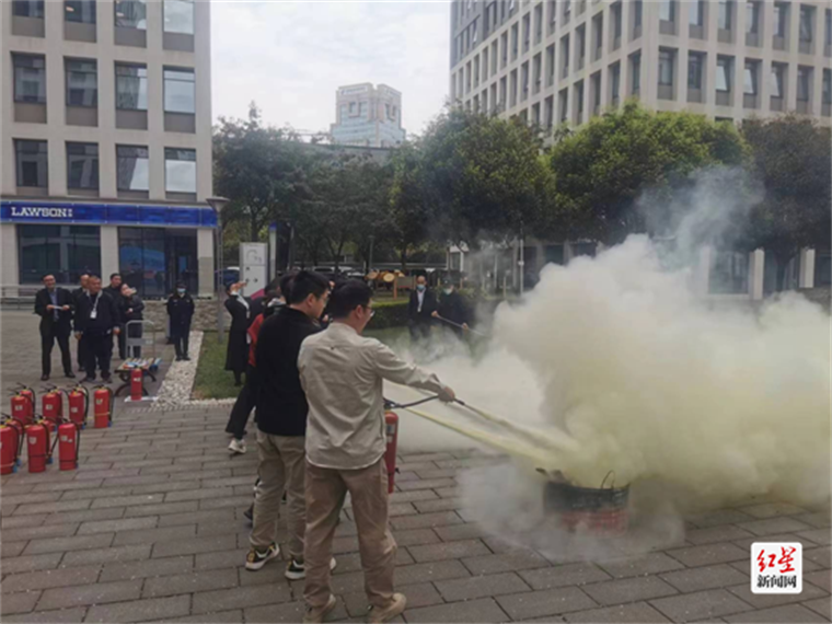 图片7