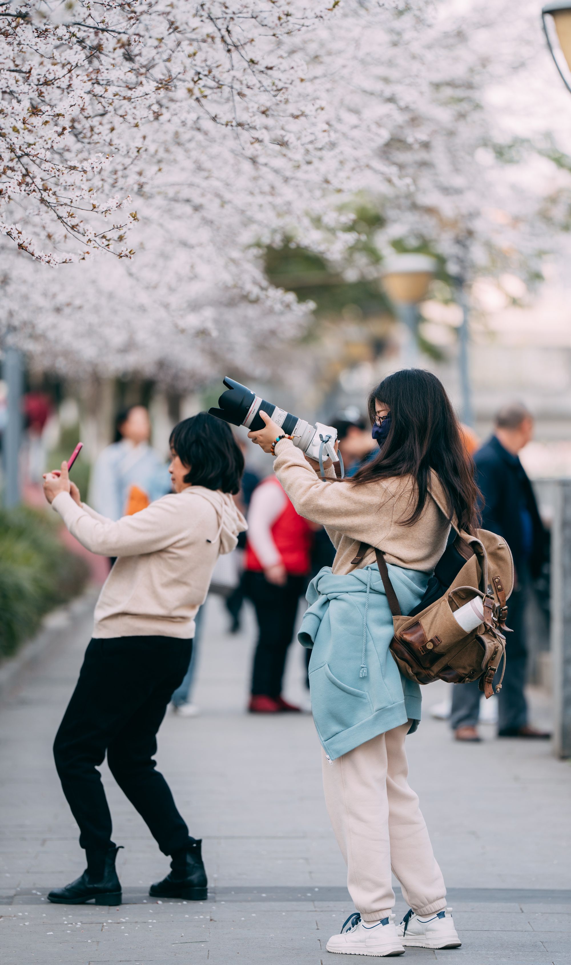 锦江公园是市民们的宝藏取景地  图via.曾维春
