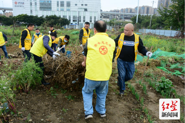 凤凰山街道开展“爱成都 迎大运 做文明市民”全民大扫除活动363