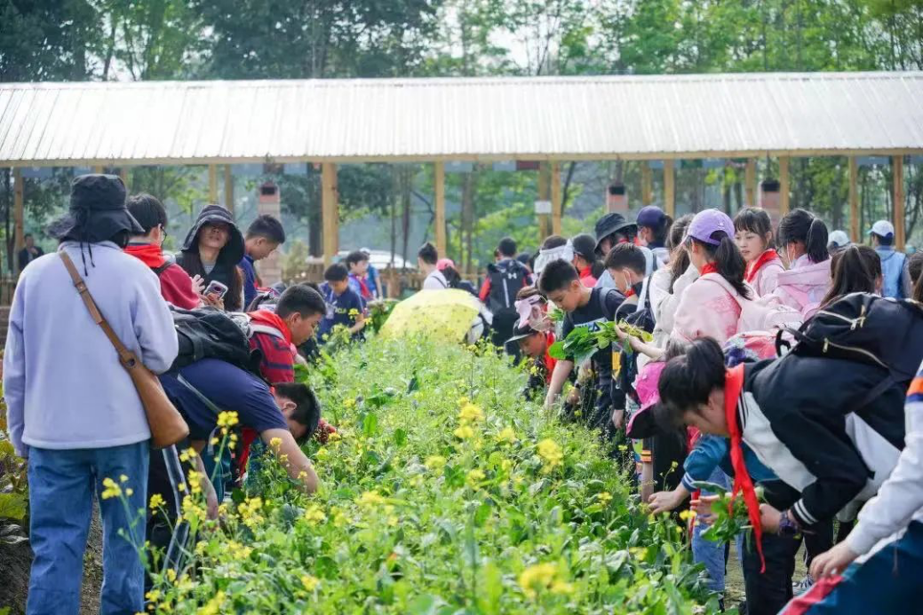 图片5