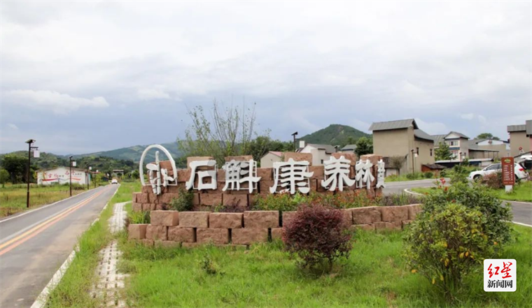 甘御兰石斛林盘景区