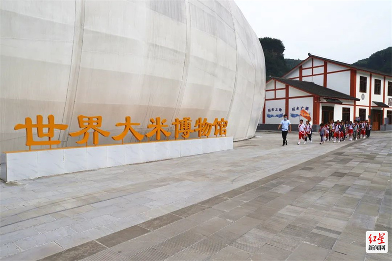 博泸小学到大米博物馆开展研学活动。图据：兴文文旅