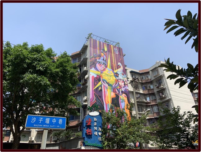 图片9