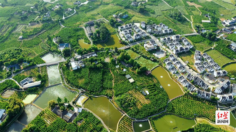 今日铁牛村