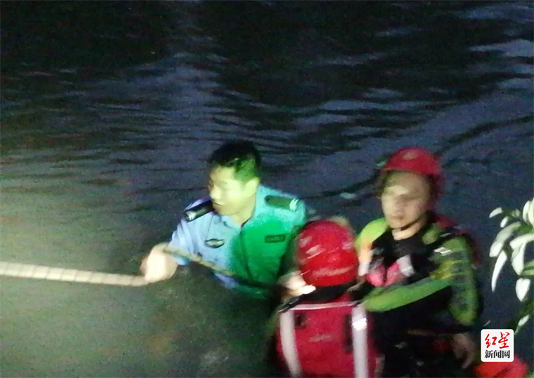 图片3