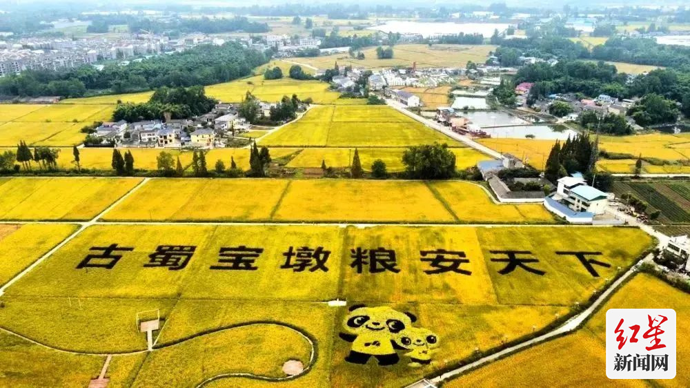 10新津区宝墩十万亩粮油产业园区