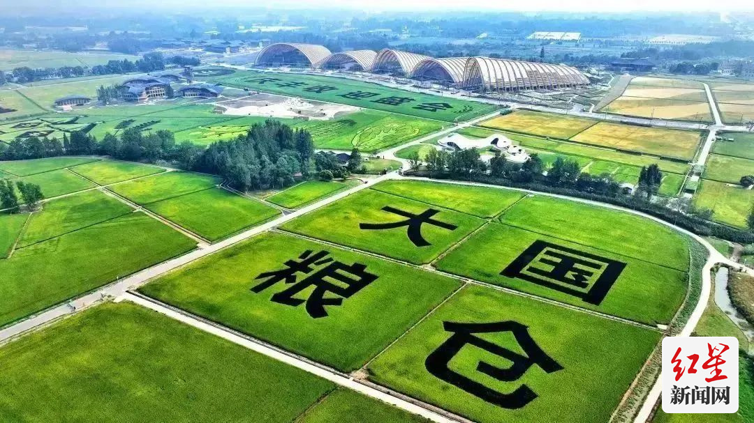 9新津区宝墩十万亩粮油产业园区2