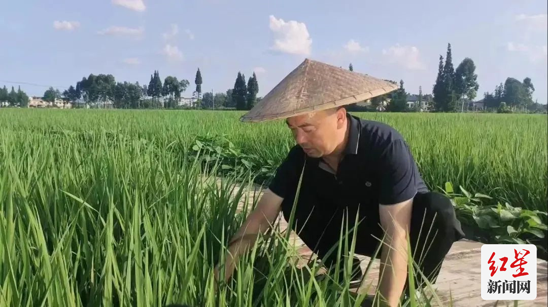 4十佳种粮大户