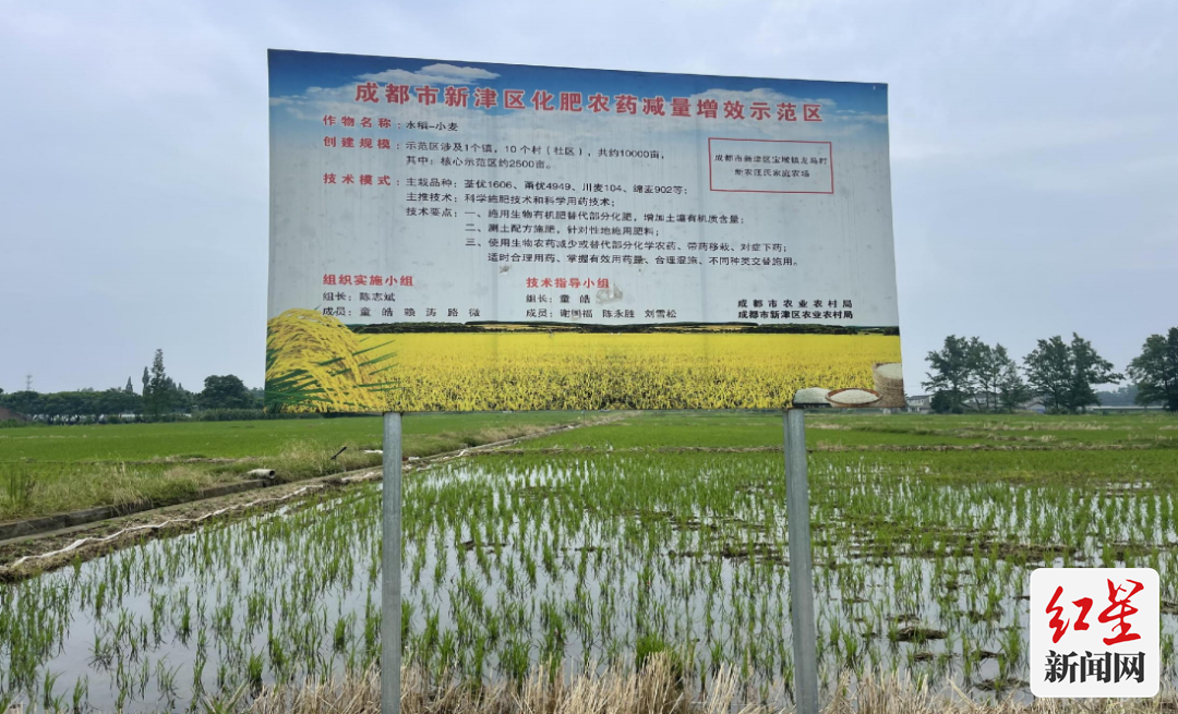 3十佳种粮大户2