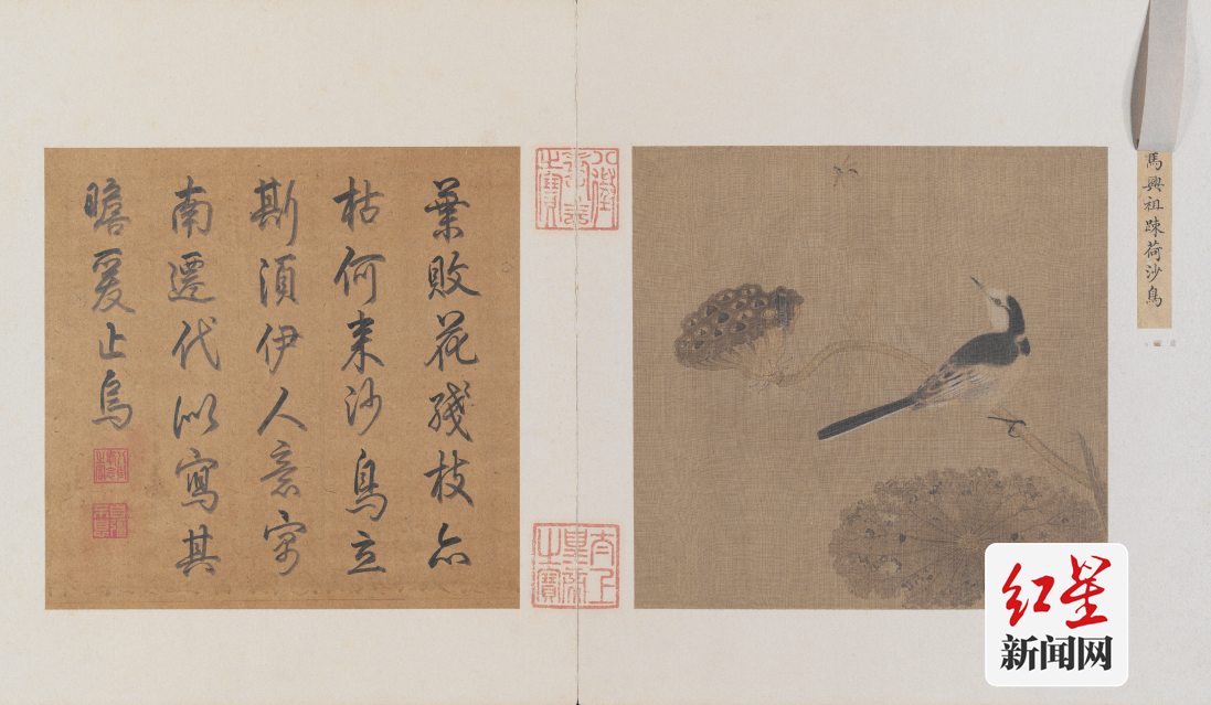 宋马兴祖四朝选藻亨册-疏荷沙鸟页 故宫博物院藏
