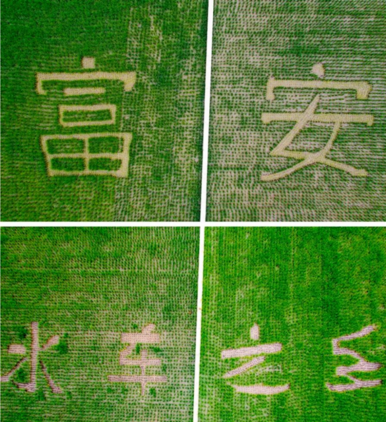 QQ截图20230618213849
