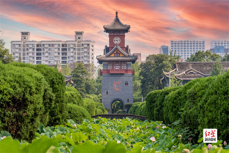 图源：视觉中国