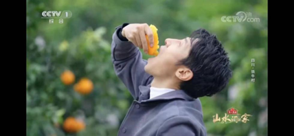 央视名主持撒贝宁点赞蒲江柑橘：九分甜一分酸，最正宗！