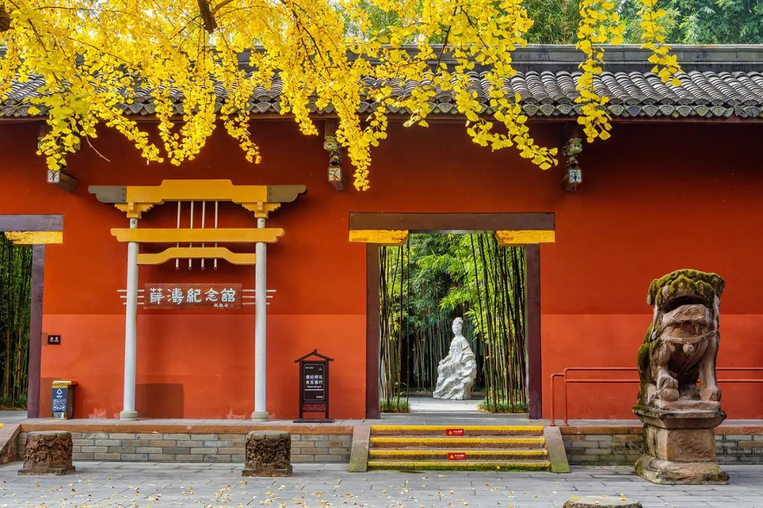 图片8