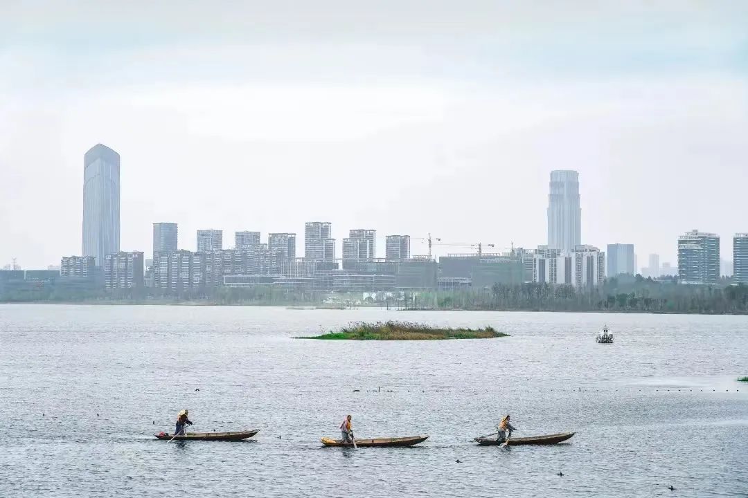 100%！以“河长制”促河长治 成都共建幸福河湖4