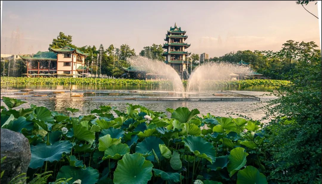 新都桂湖，因明代状元杨升庵在此沿湖遍植桂树而得名，为中国五大桂花观赏地和八大荷花观赏地之一。荷花荷叶荷塘与古朴的明清建筑融为一体，就如一幅幅精美的图画。（蔡明明 摄）