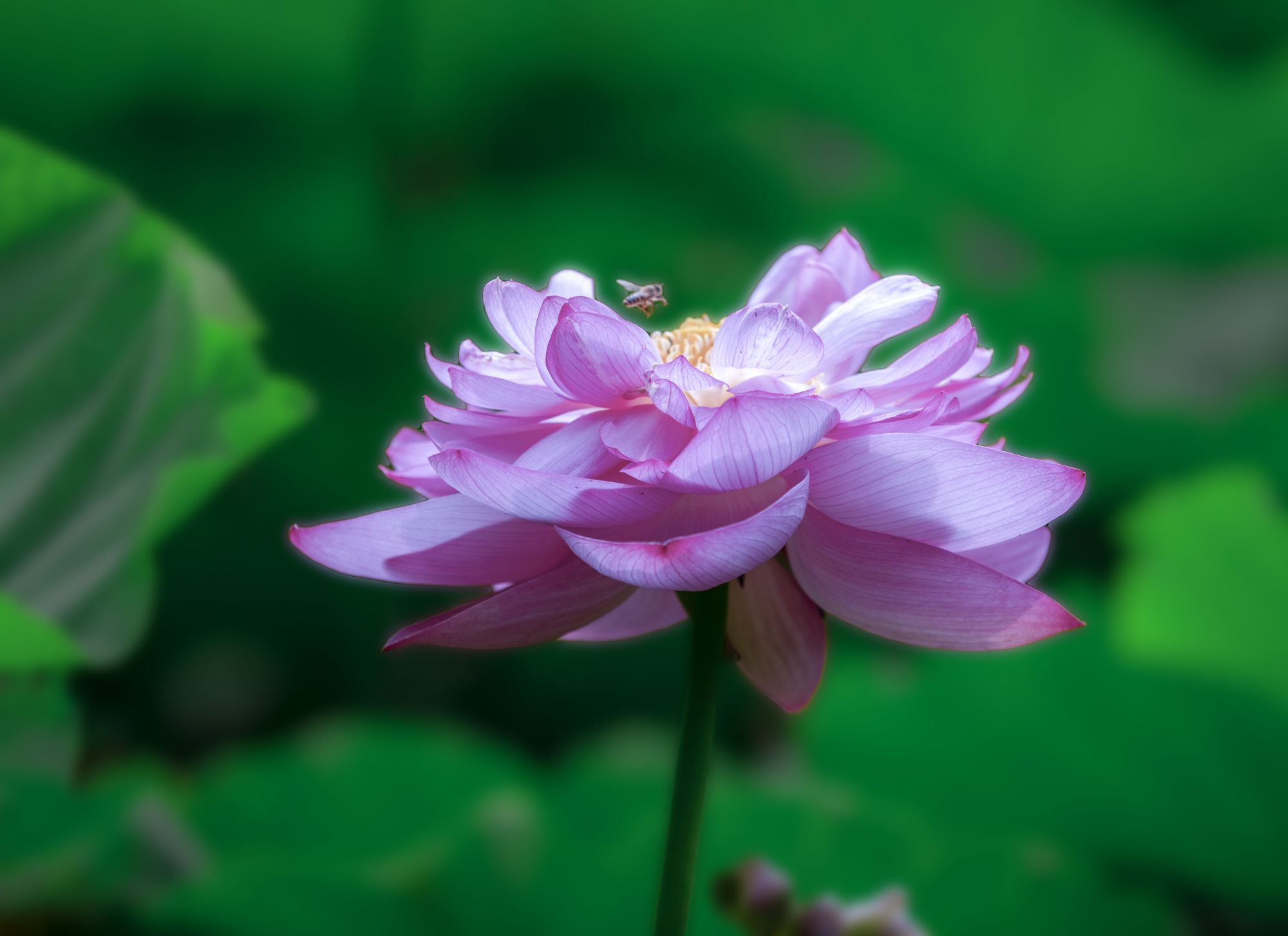 行摄光影 (5)