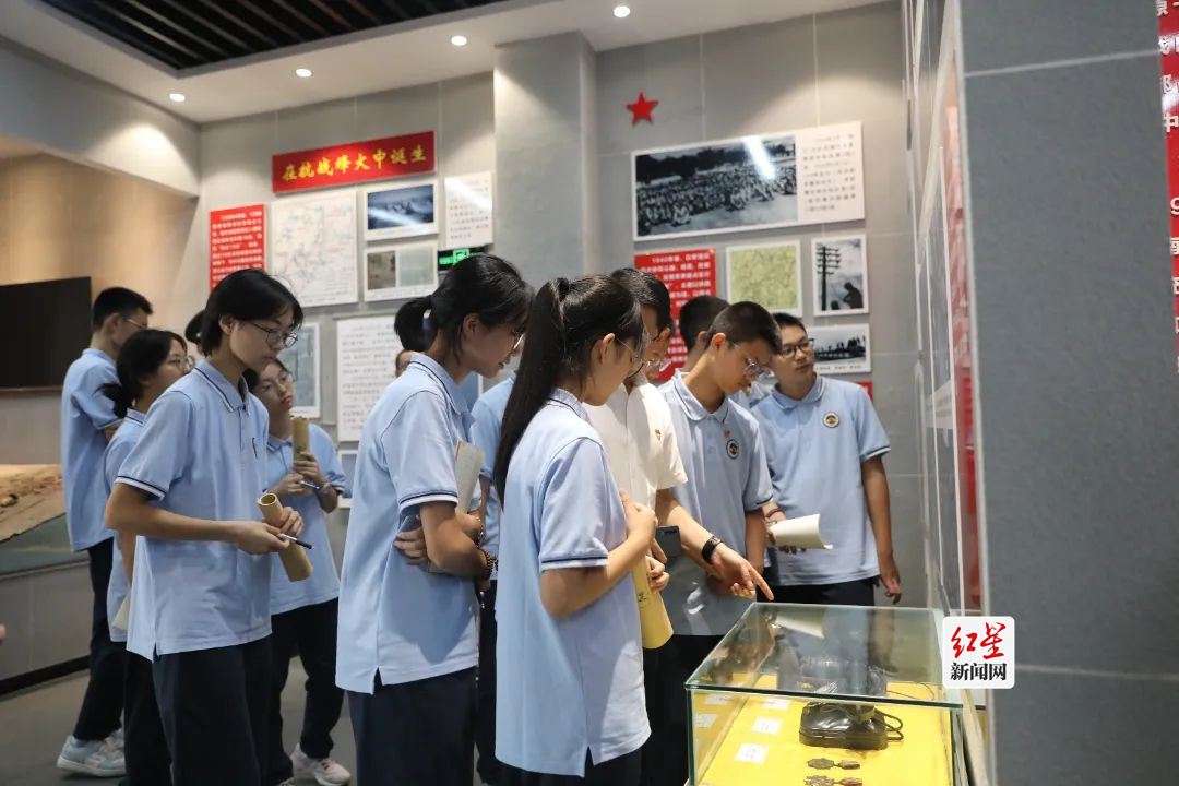 图片8