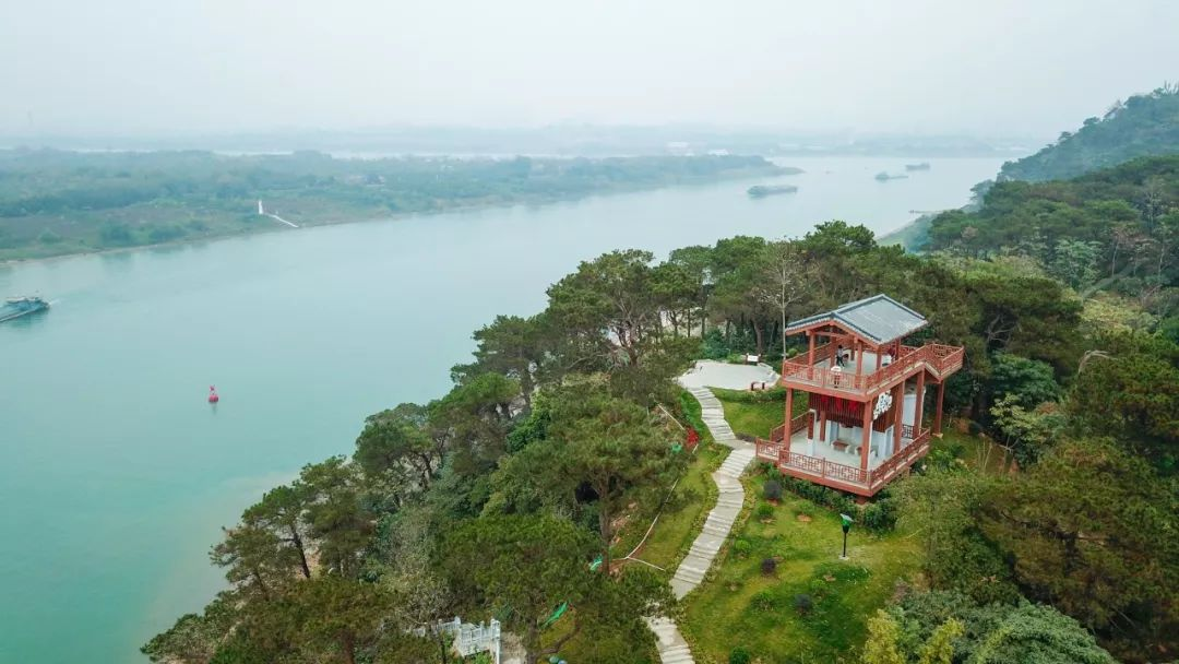 图片3