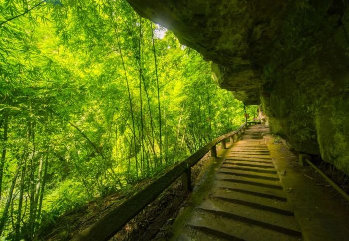 平乐灵关道（茶马古道）