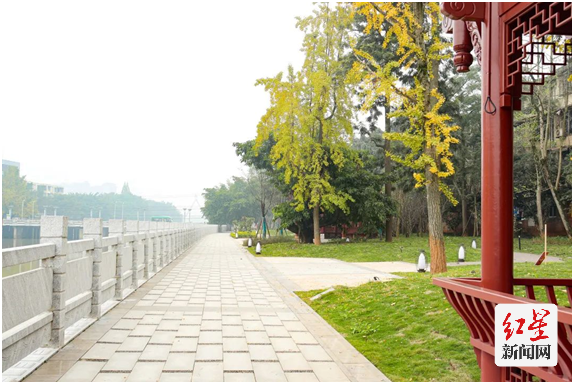 <p>改造升级后的西河河滨景观</p>