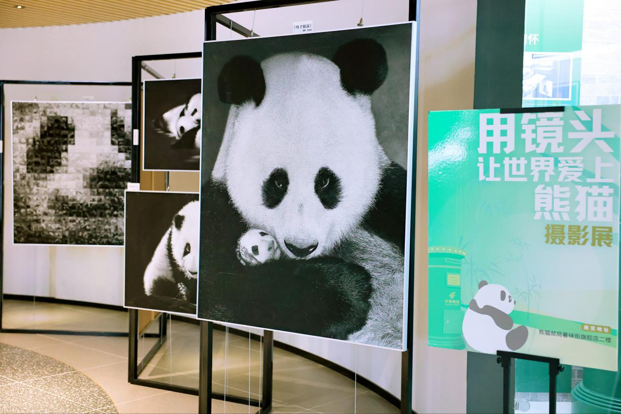 图片4