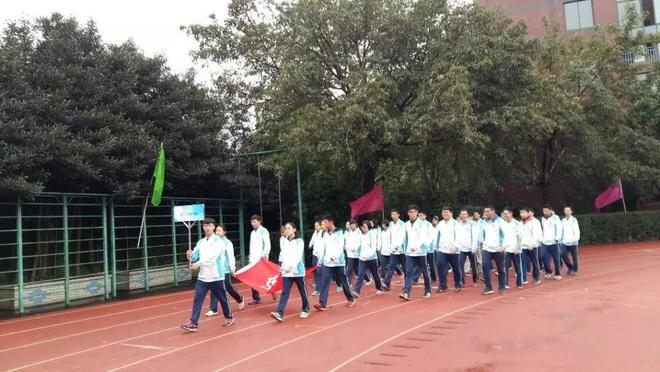 图片9