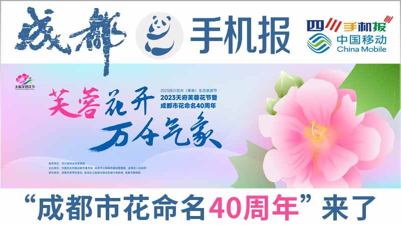 移动主图