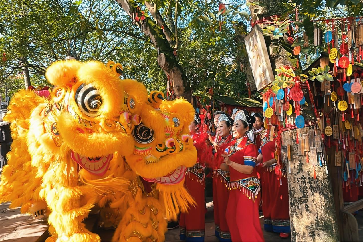 图片15