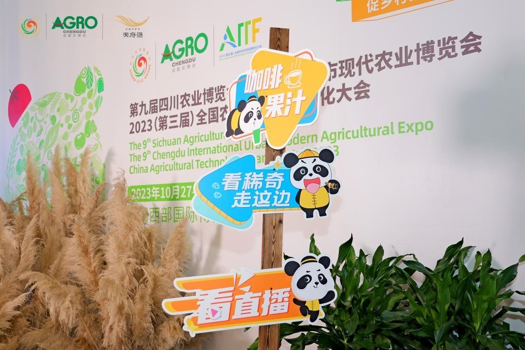 图片6