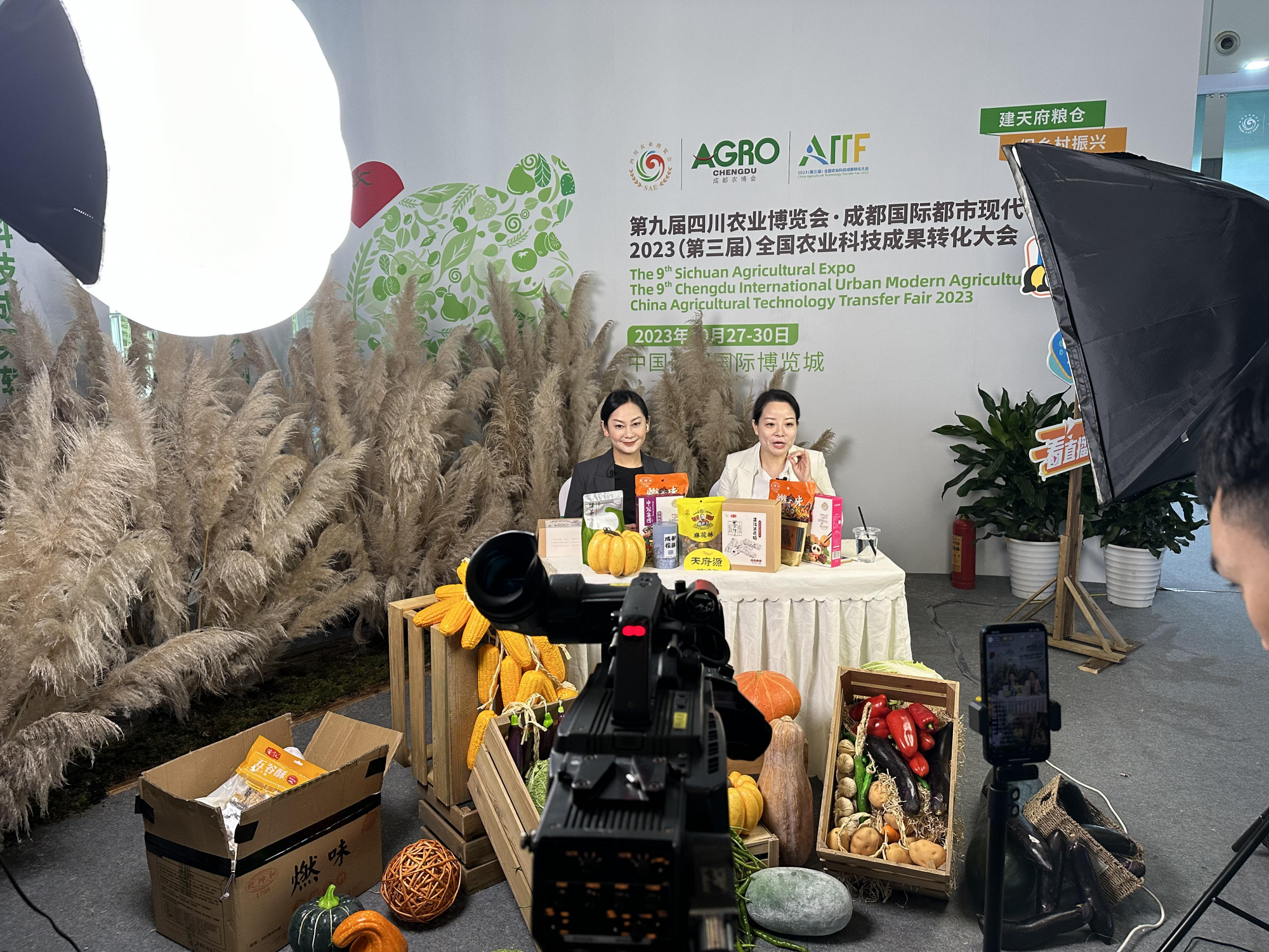 图片7