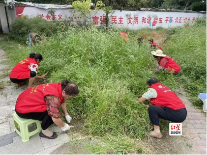 投身志愿服务，绽放最美“夕阳红”643