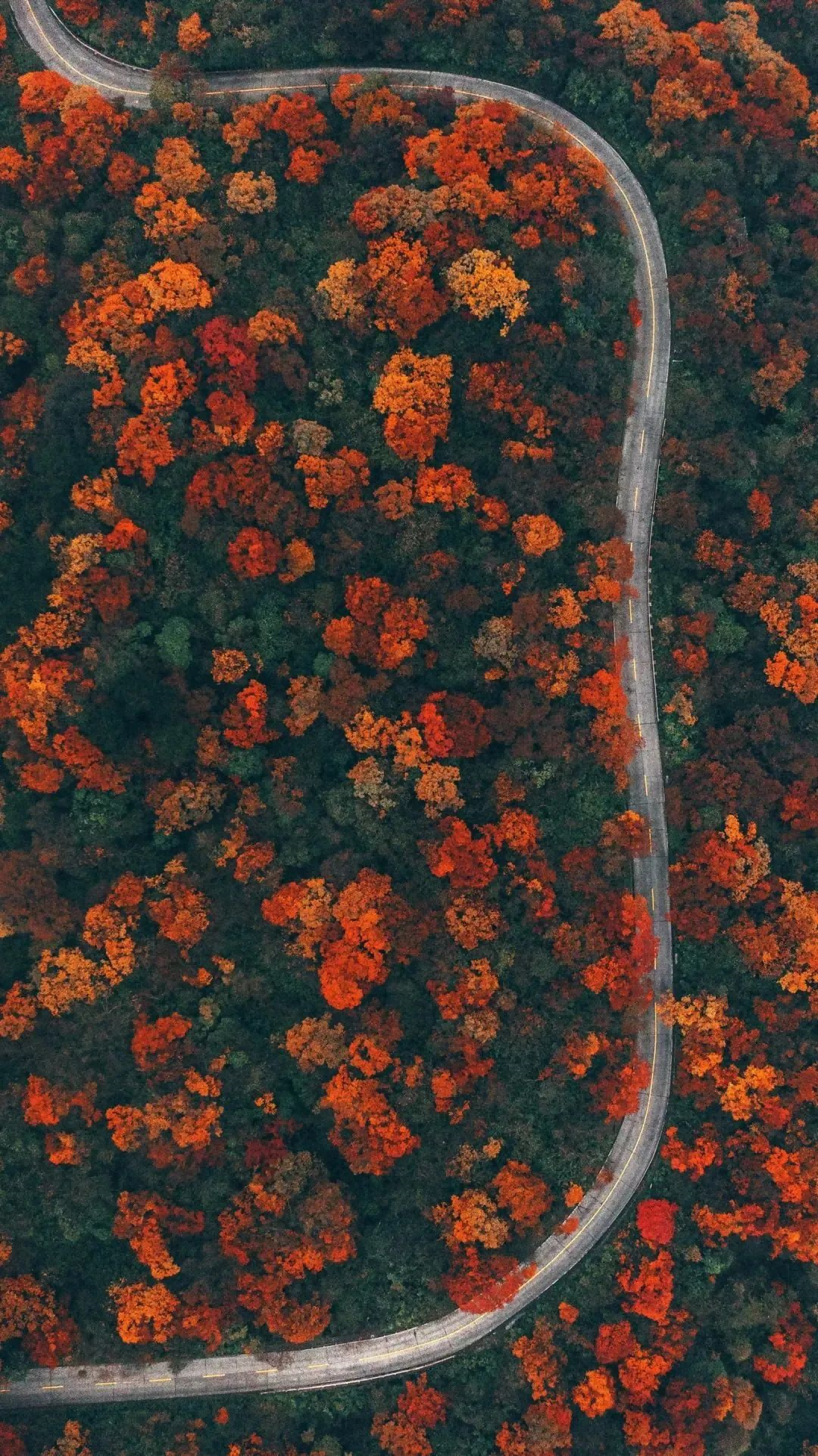 640 (1)