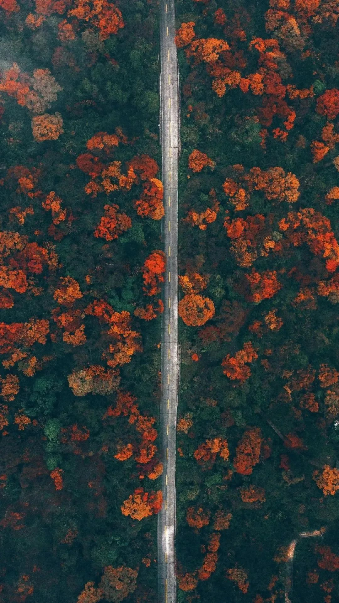 640 (2)