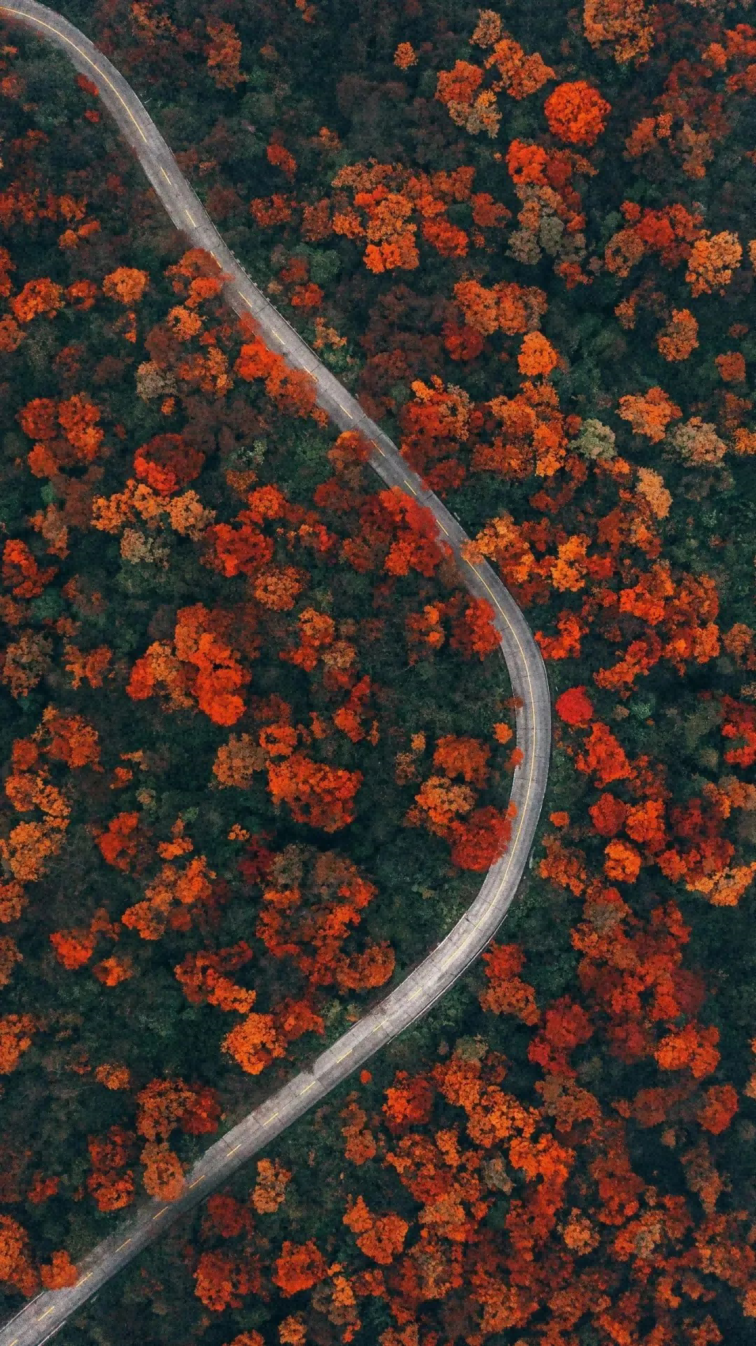 640