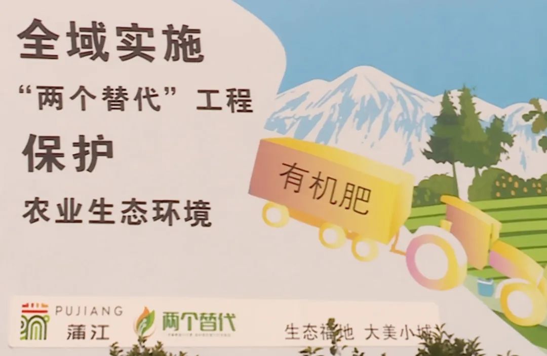 “两个替代”工程