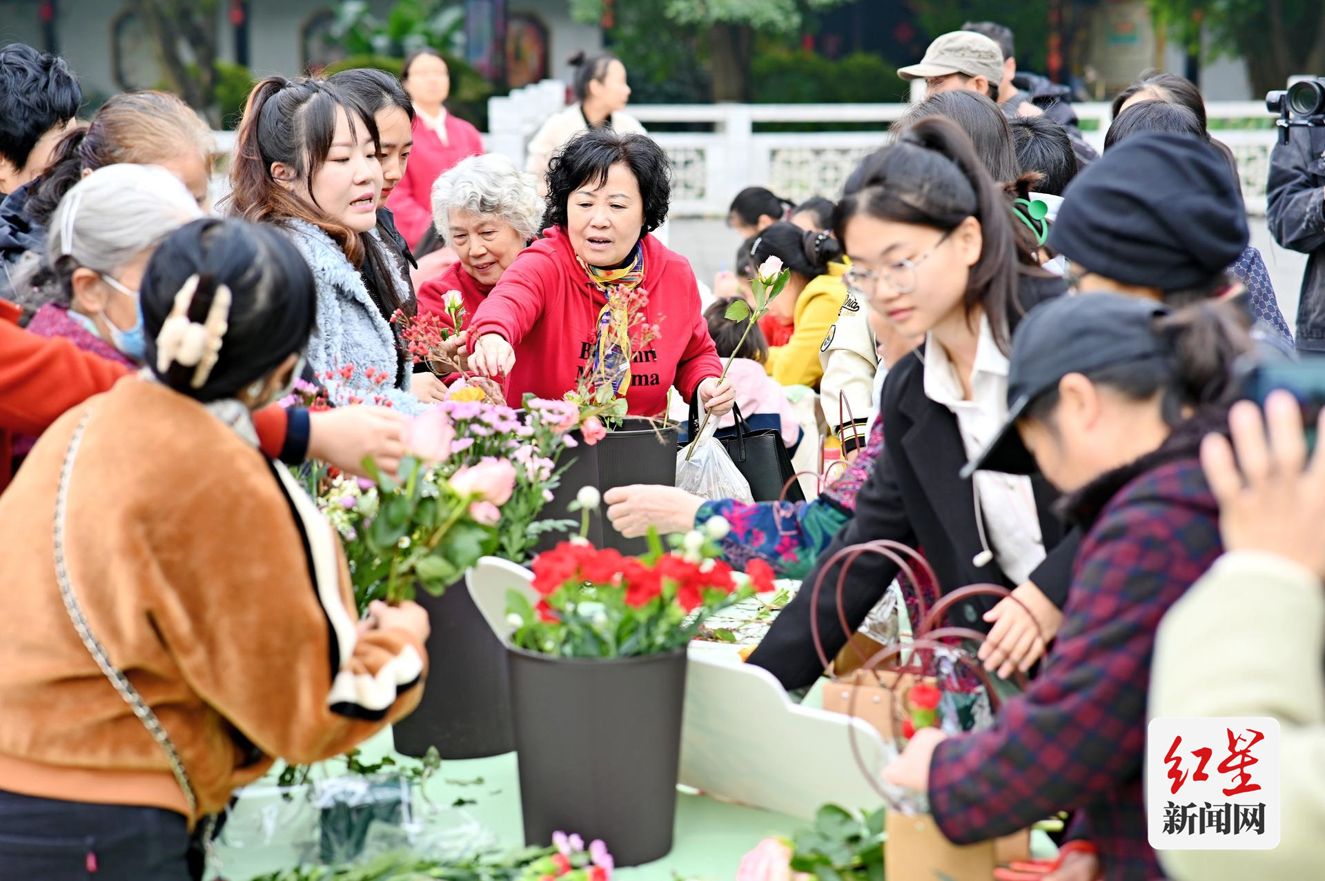 芙蓉2