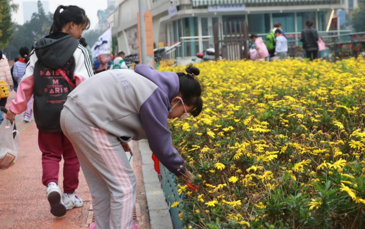 孩子们在 捡垃圾.1jpg