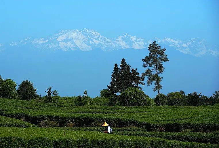 样板2