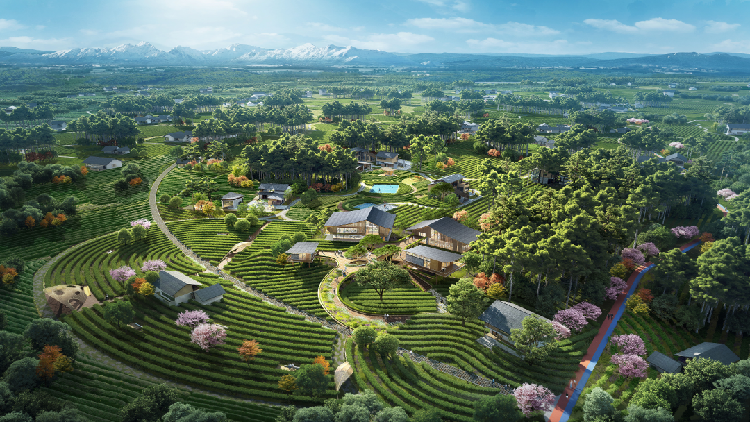 样板8