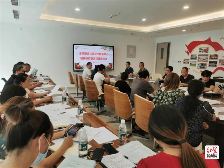 开展重性精神疾病管理工作培训会
