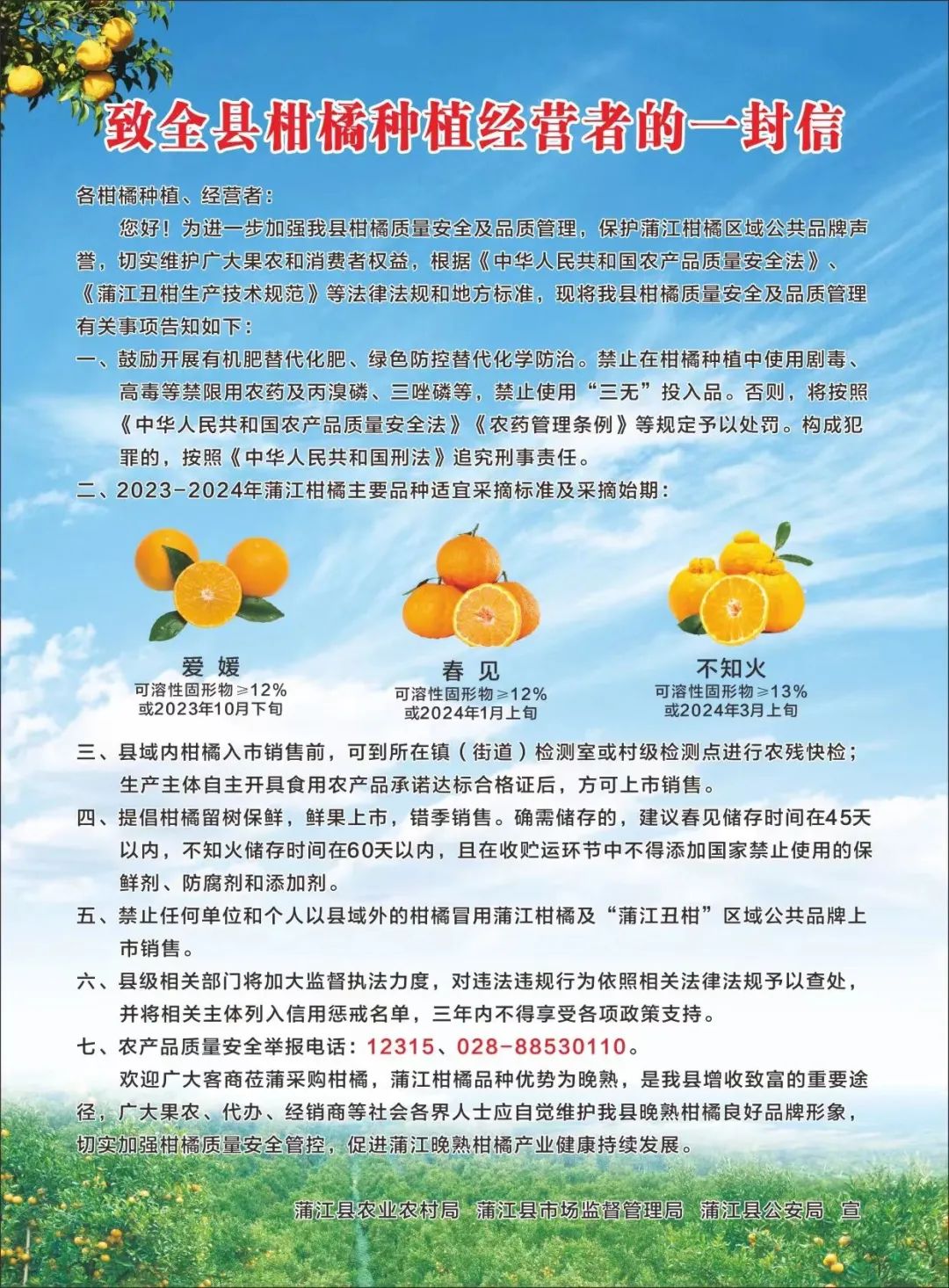耙耙柑3