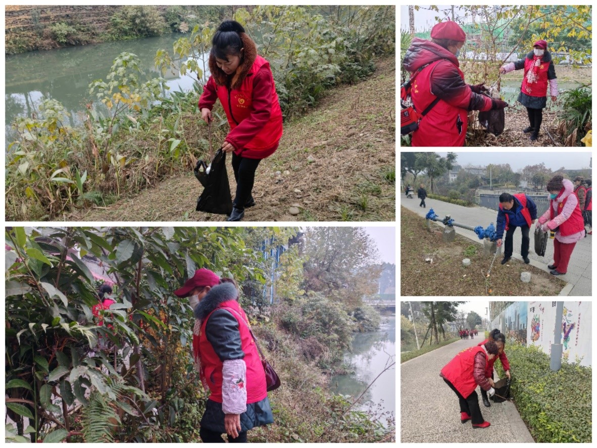 “川化大妈志愿服务队”清理河岸沿线垃圾、杂草