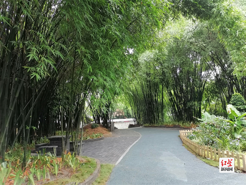 白塔社区帅家院子 （散居院落整治）整治后图片 (1)