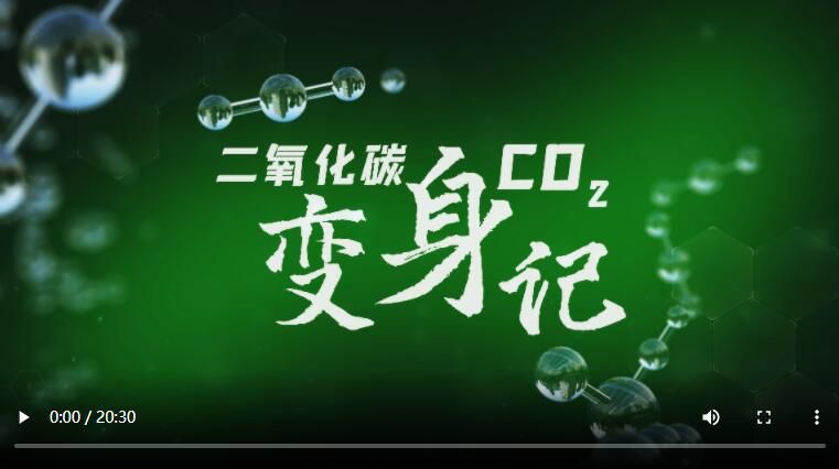 QQ截图20231229155623