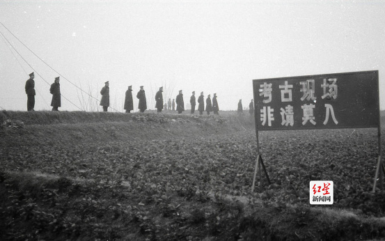 迟阿娟1619