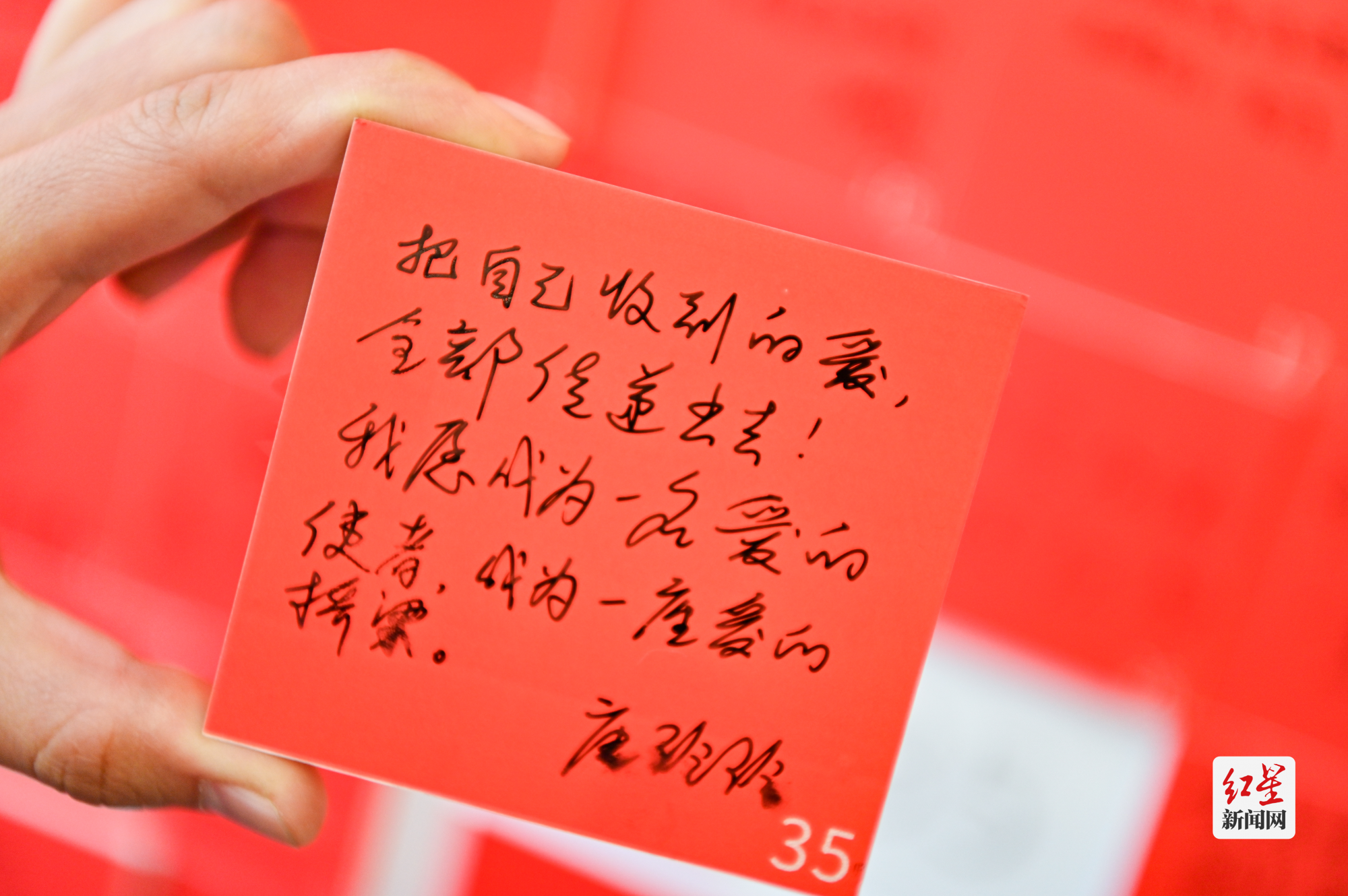 图片3