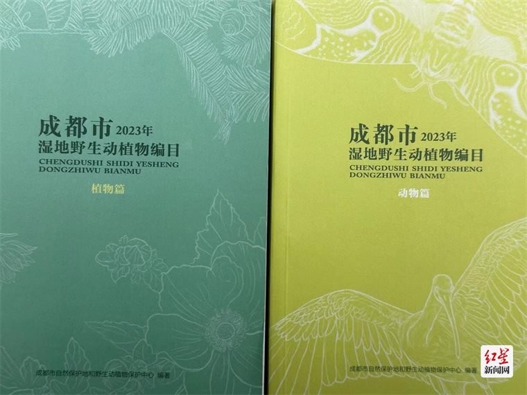 图片 5